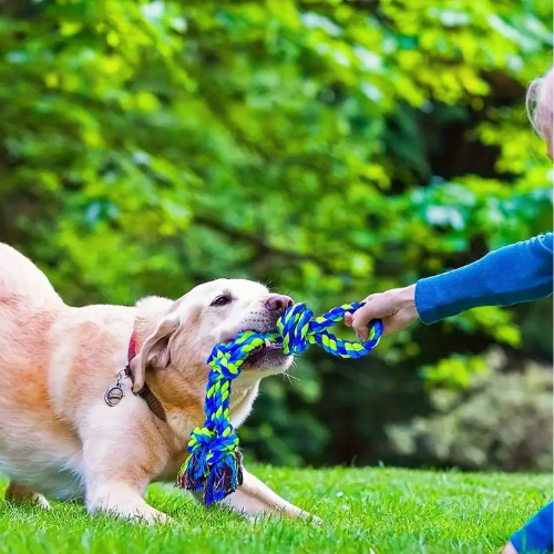Brinquedos de mastigar duráveis para cães