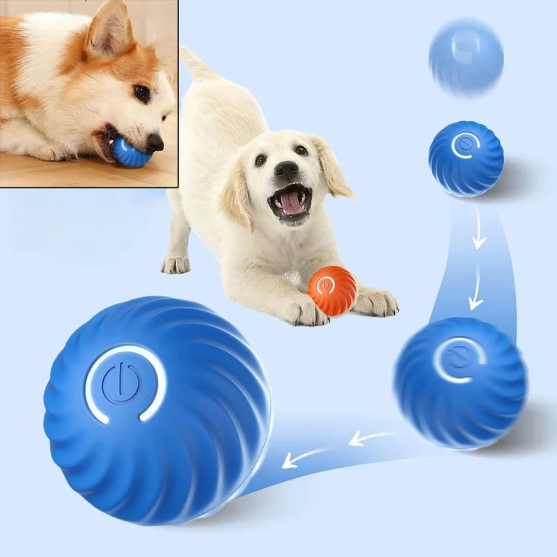 Bola automática de brinquedo para cachorro